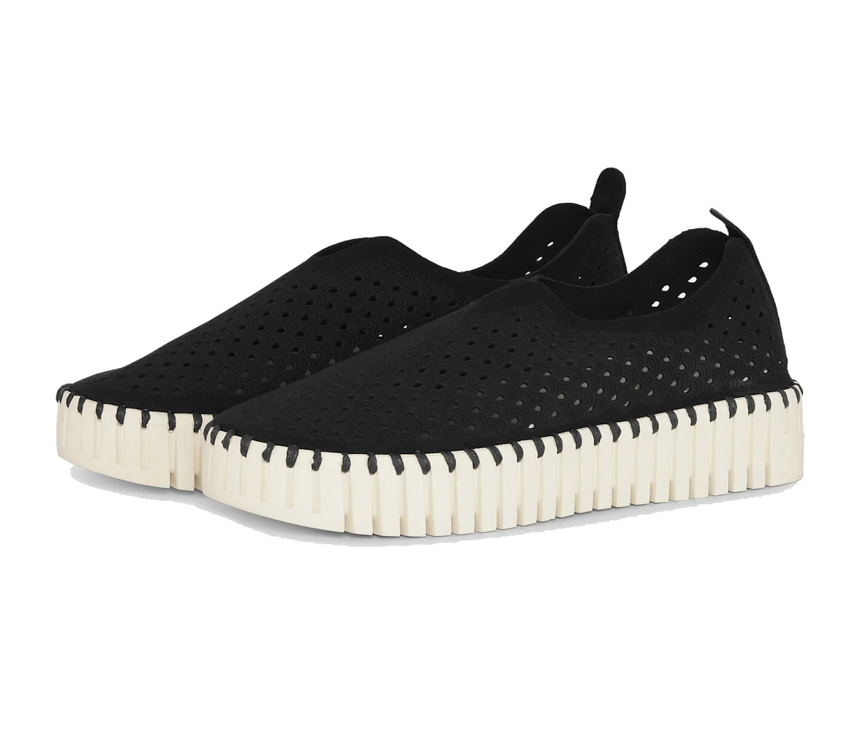 IlseJacobsen-tulip-platform-black36