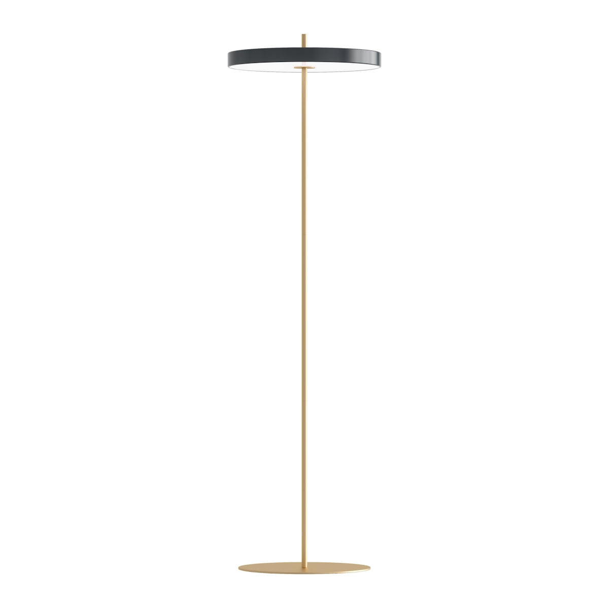 Asteria Floor Lamp