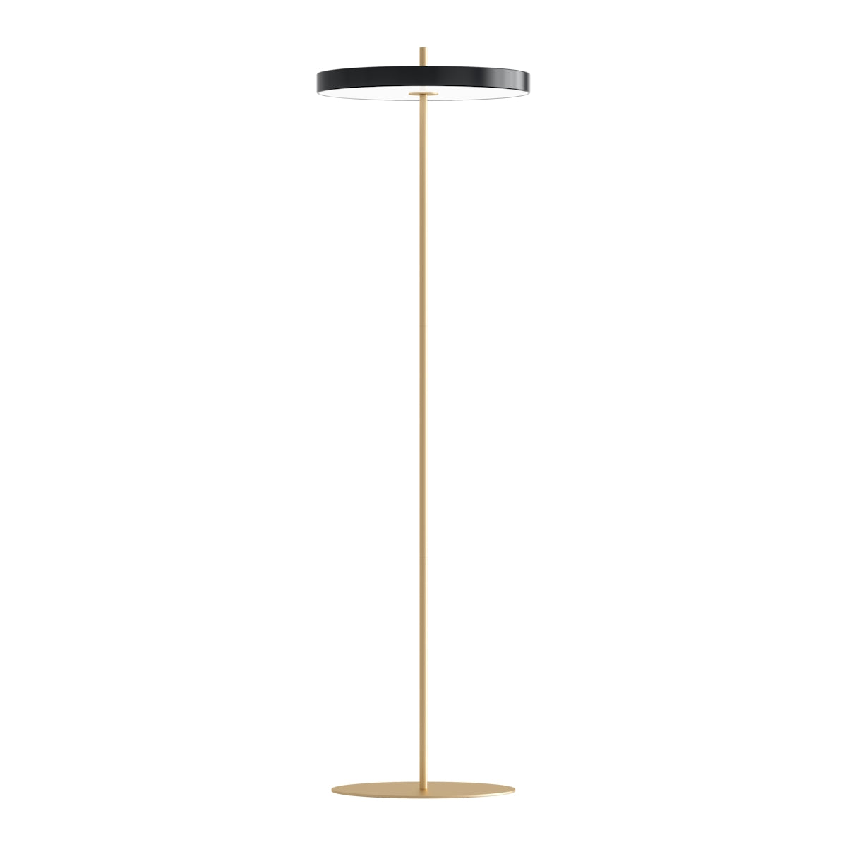 Asteria Floor Lamp