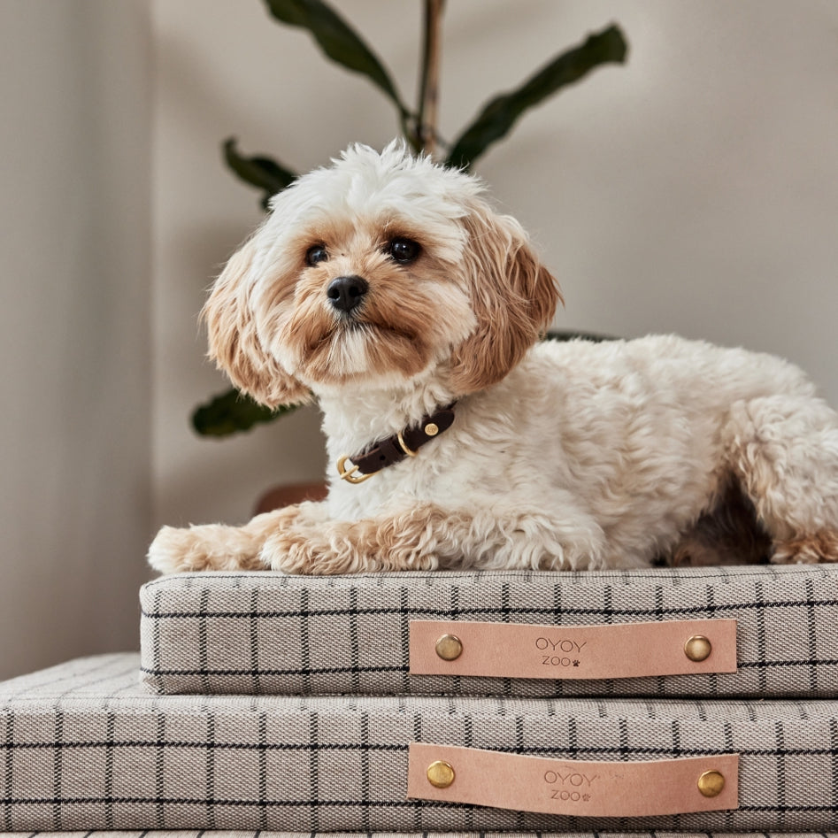 OYOY Robin Dog Collar M Choko