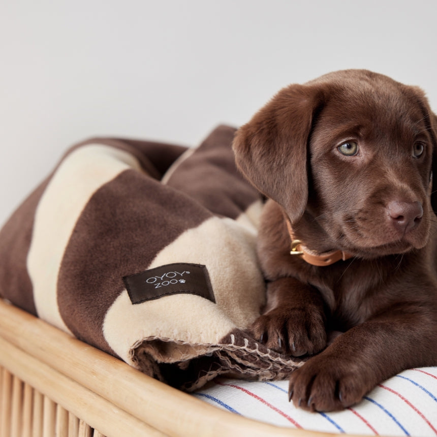 OYOY Kaya Dog Blanket Choko Large