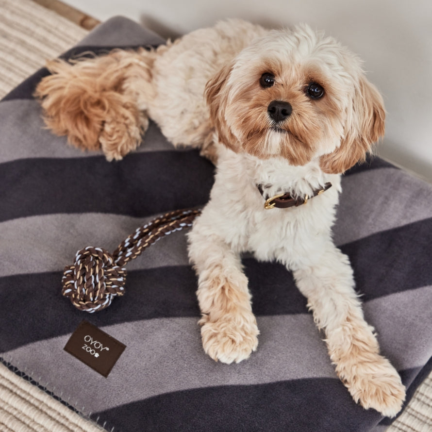 OYOY Kaya Dog Blanket Black