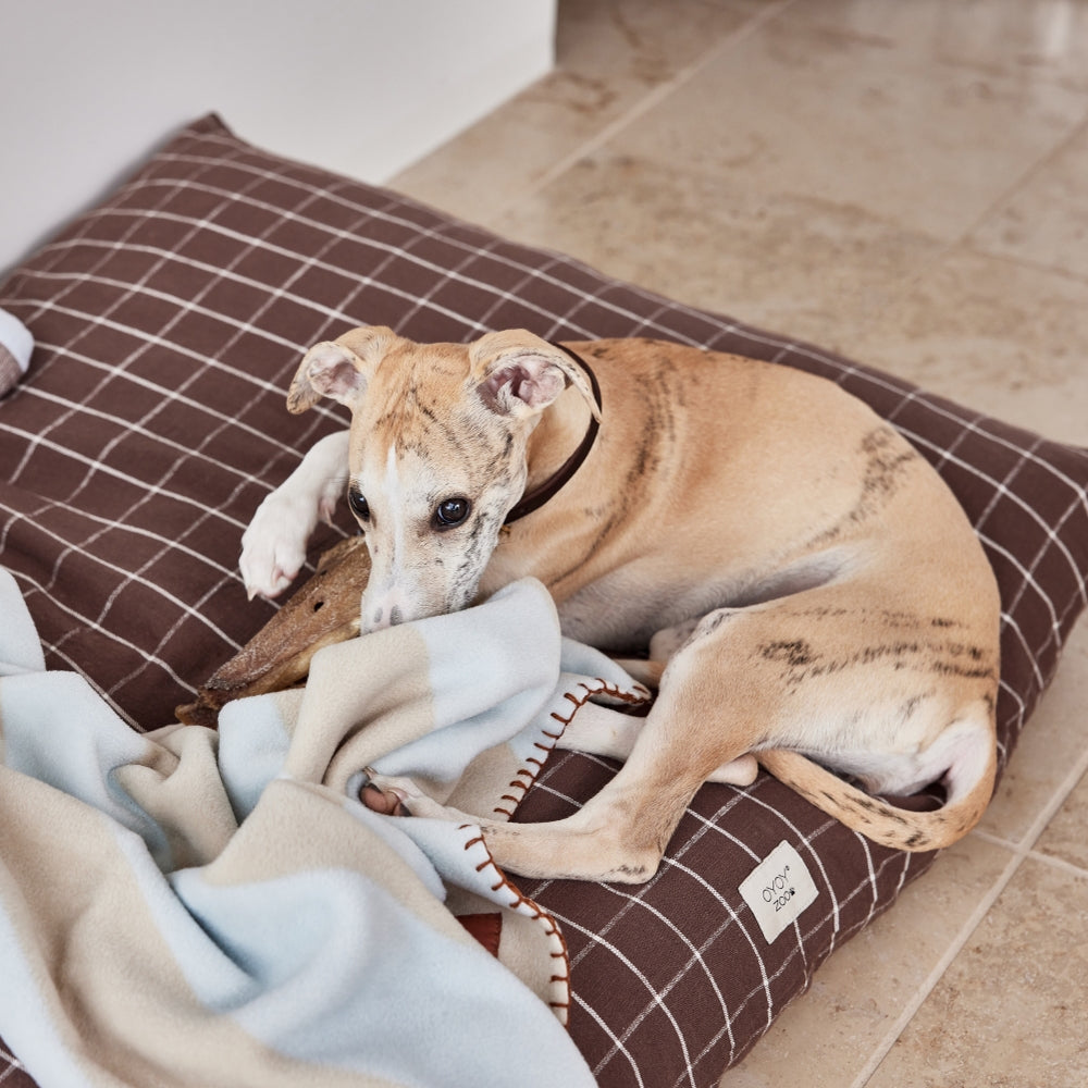 OYOY Kaya Dog Blanket Medium