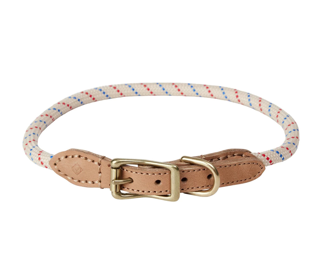 OYOY-perry-dog-collar-large