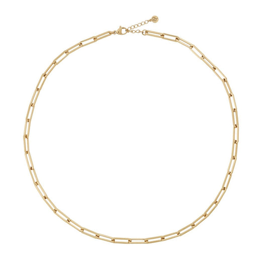 Edblad-ivy-chain-necklace-l-gold