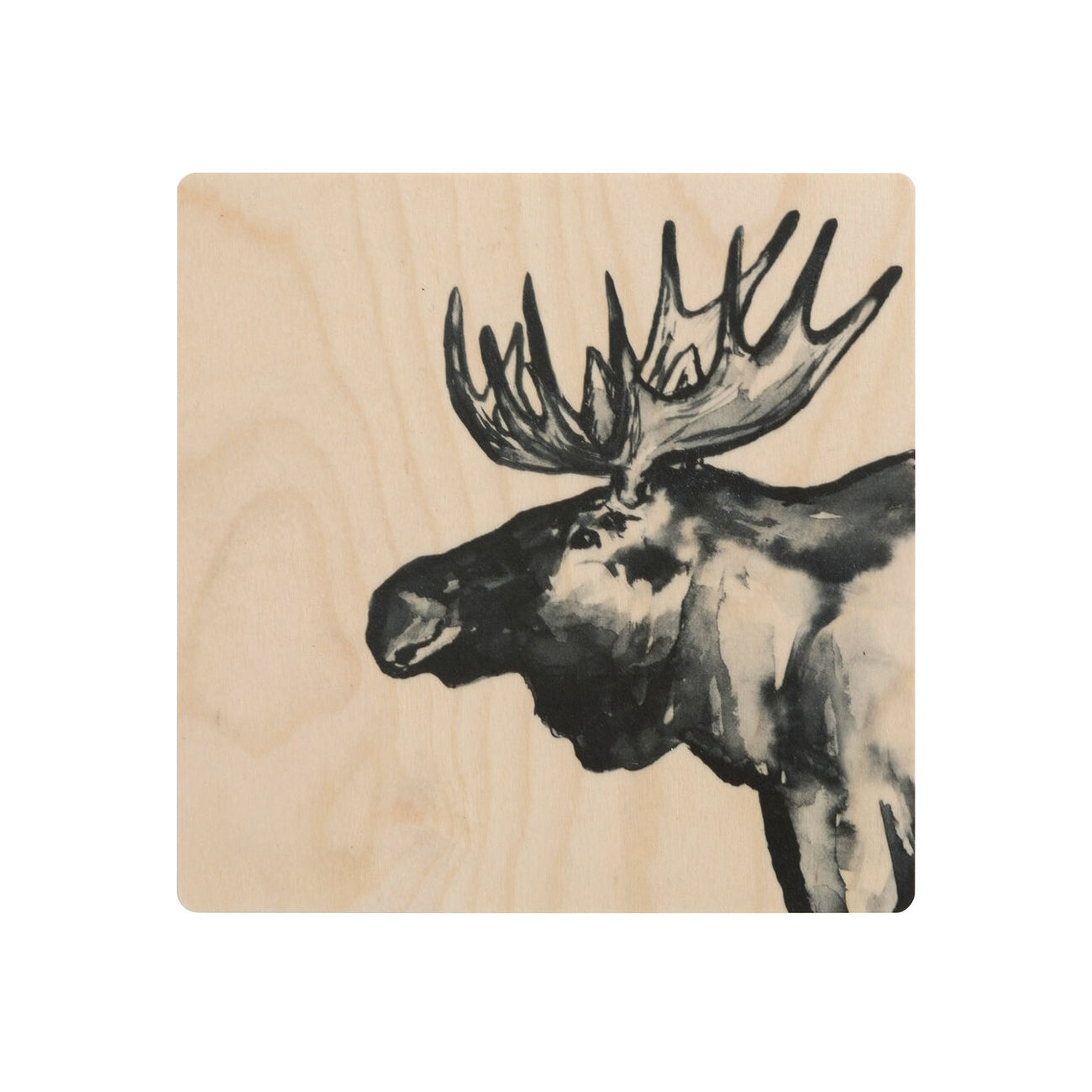 Miiko Elk Coaster