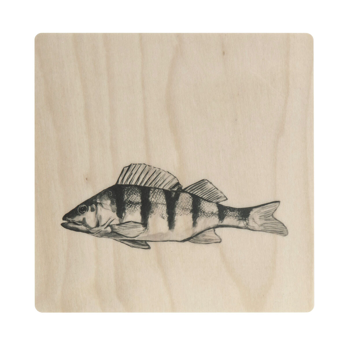 Miiko Perch Coaster