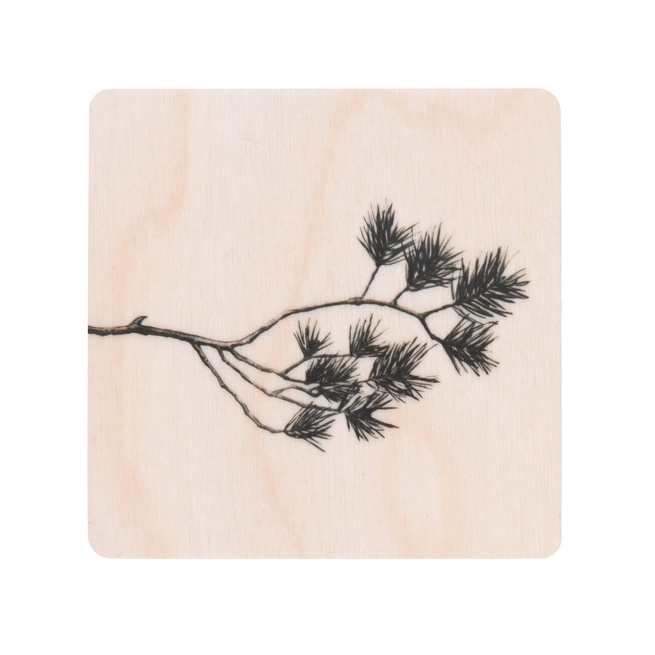 Miiko Pine Branch Coaster