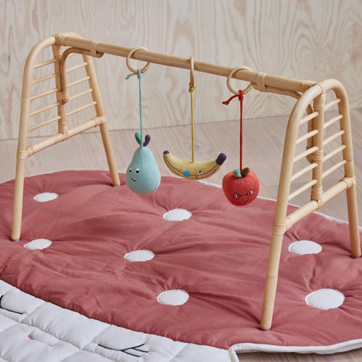 oyoy-yummy-play-gym-toys