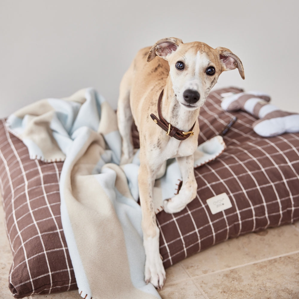 OYOY Kaya Dog Blanket Ice Blue