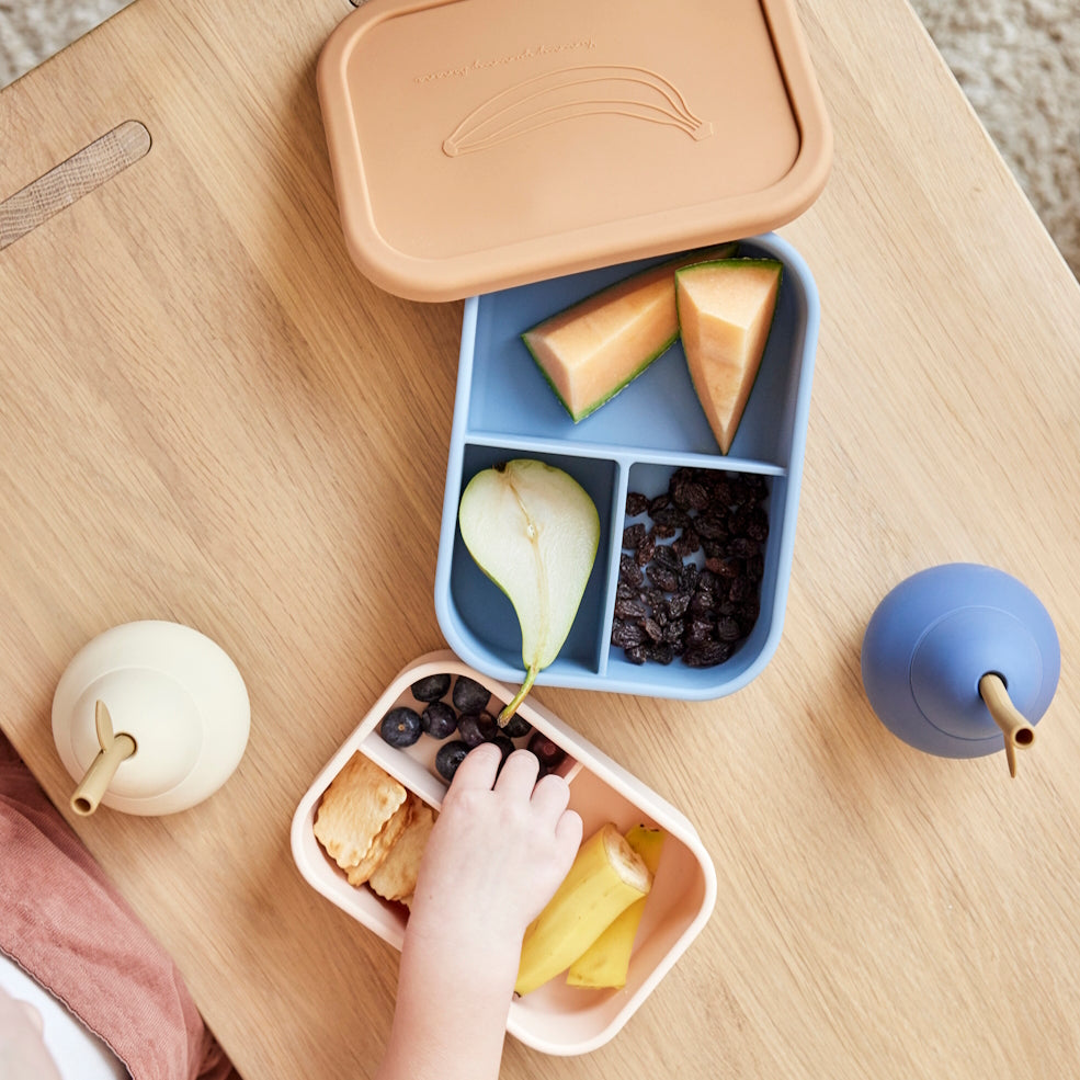 OYOY-yummy-lunch-box-large-fudge