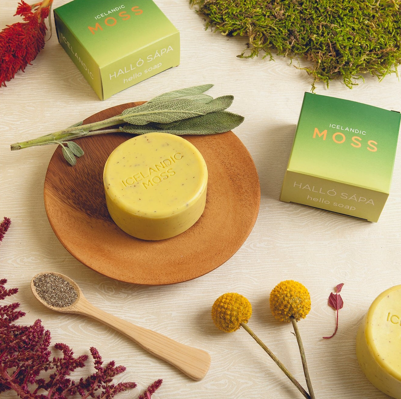 Kalastyle-icelandic-moss-soap