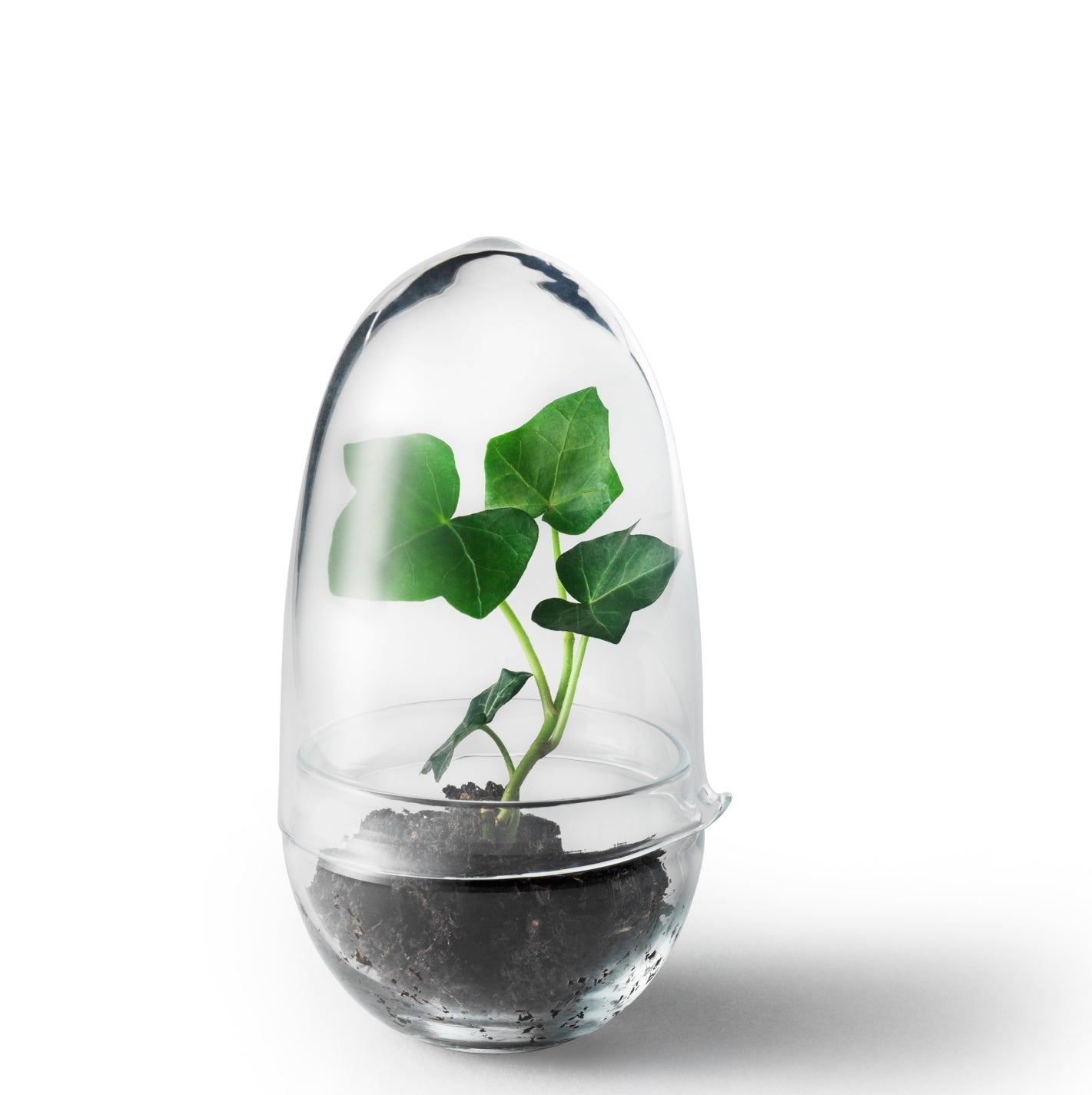 DesignHouseStockholm-grow-greenhouse-small-clear