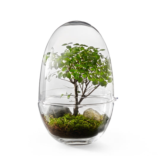 Design House Stockholm Grow Greenhouse Large clear