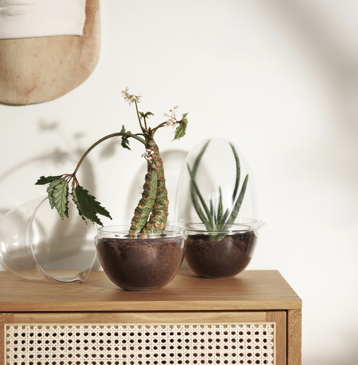 DesignHouseStockholm-grow-greenhouse-large-clear