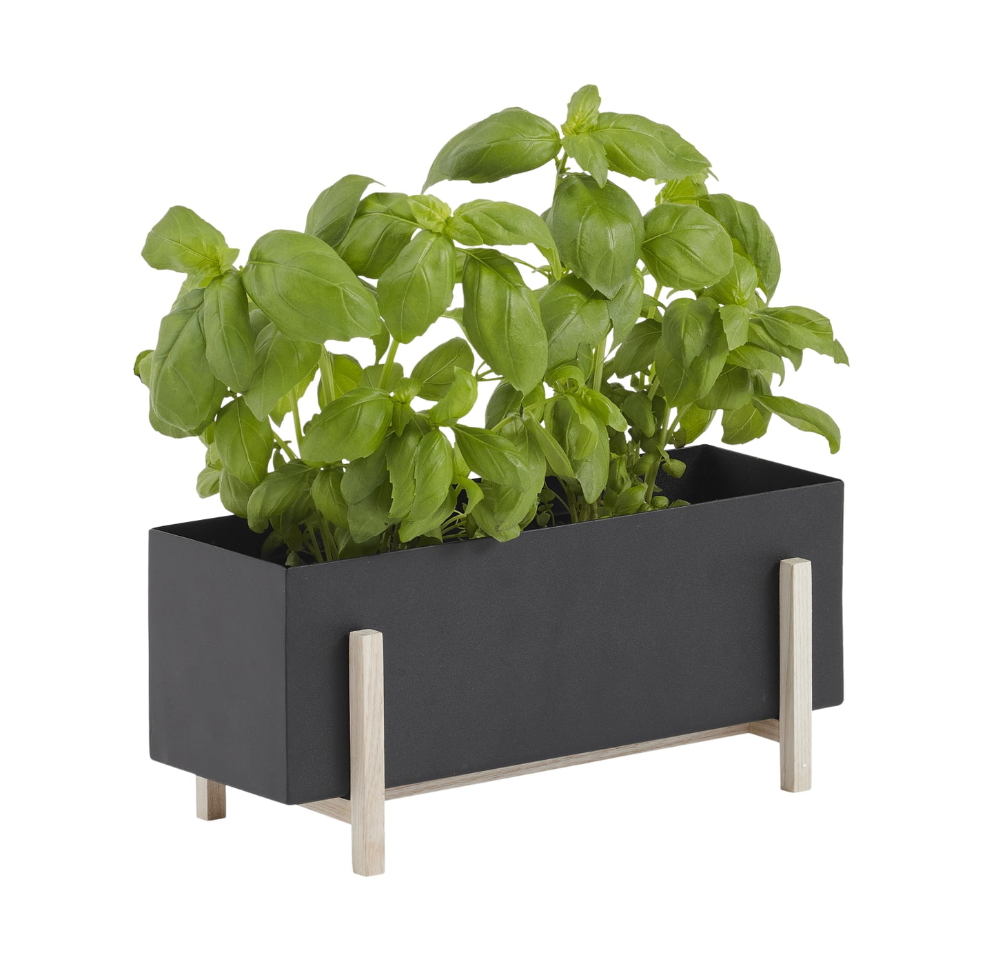 DesignHouseStockholm-botanic-box