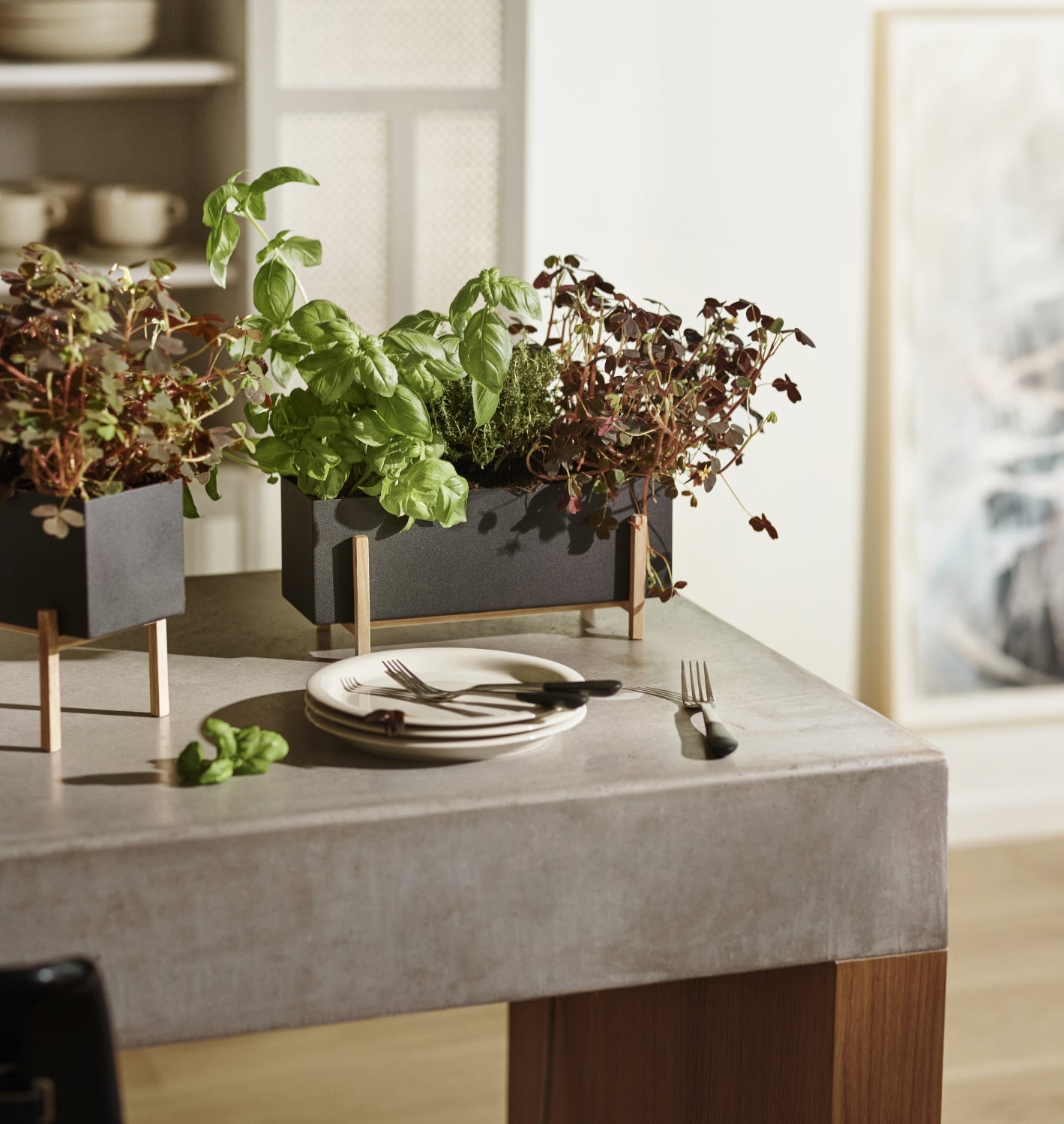 DesignHouseStockholm-botanic-box