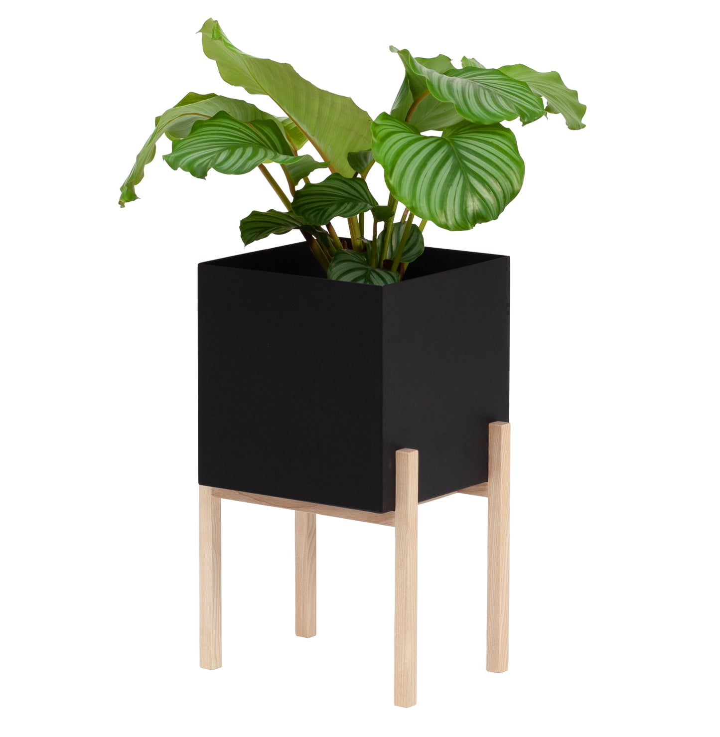 DesignHouseStockholm-botanic-pedestal