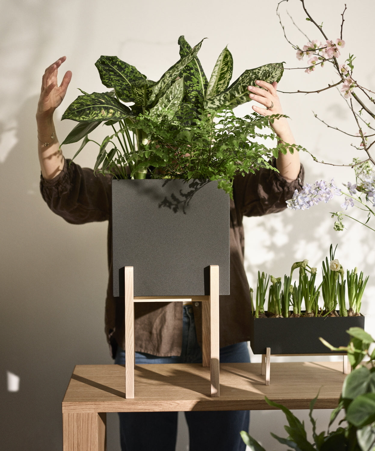 DesignHouseStockholm-botanic-pedestal