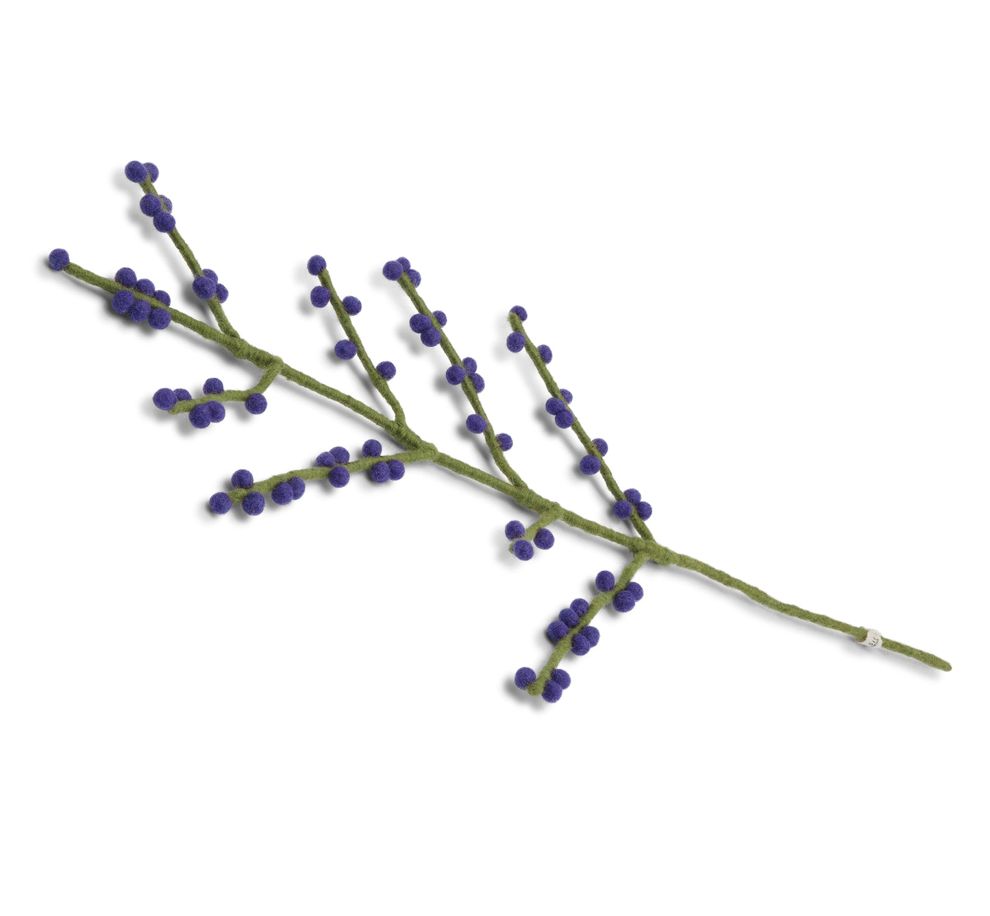 Branch Blue Berries