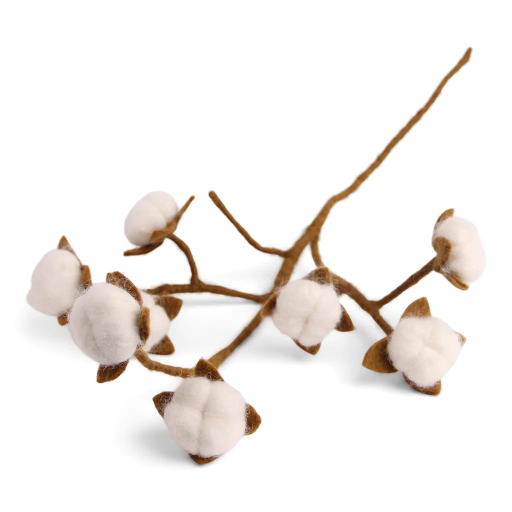 Cotton Branch