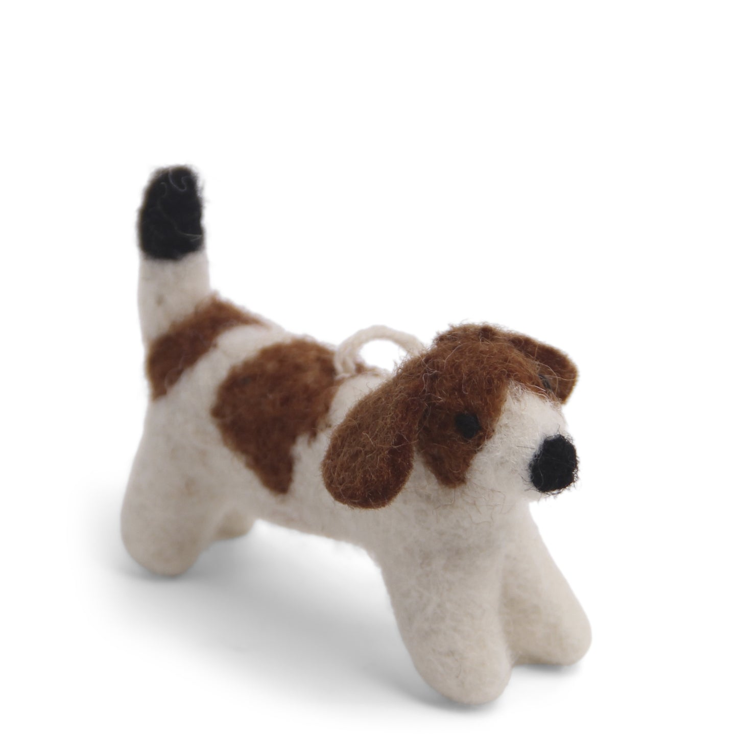 Gry&Sif-dog-jack-russel