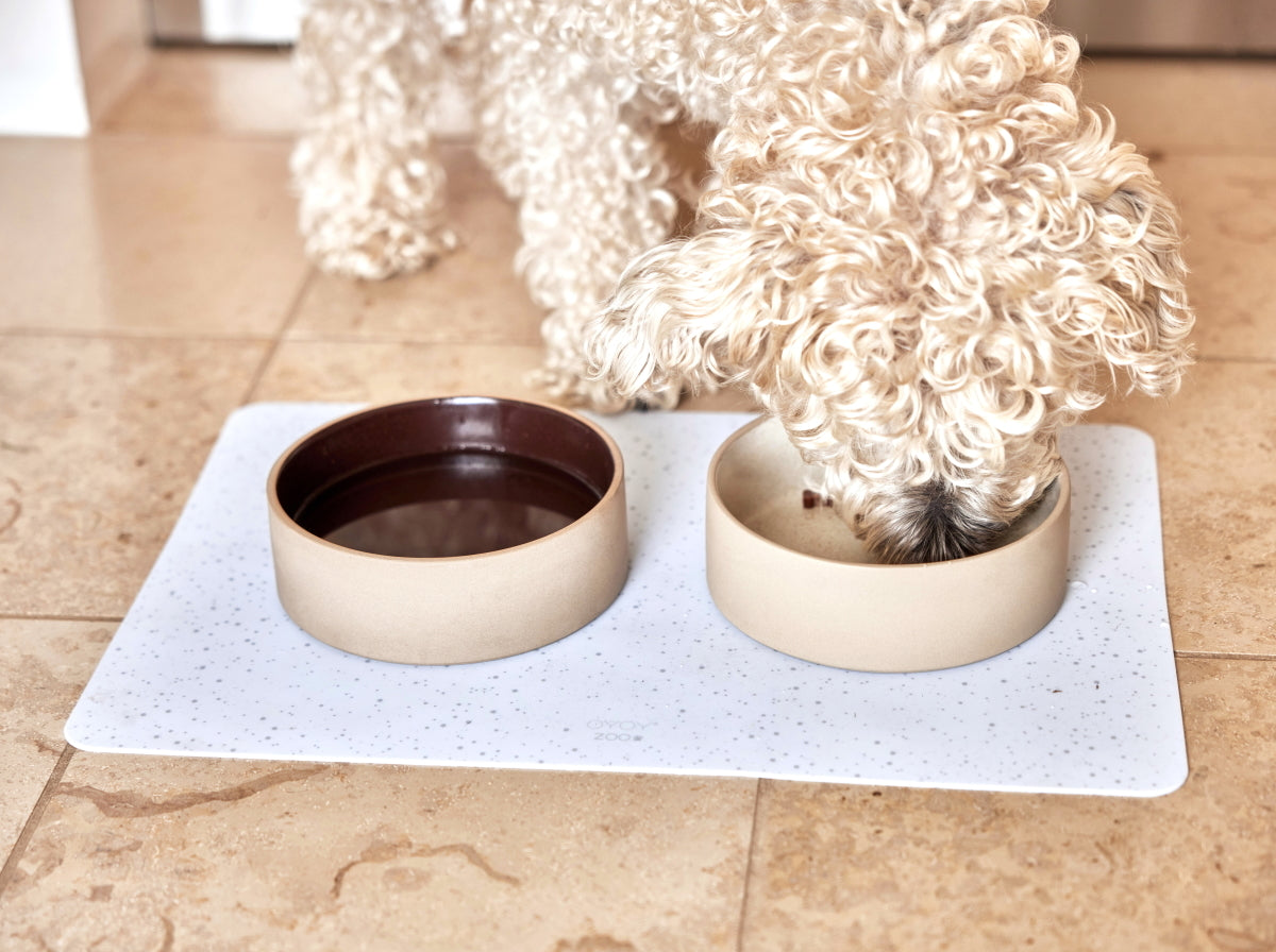 OYOY-koko-dog-bowl-matBlack