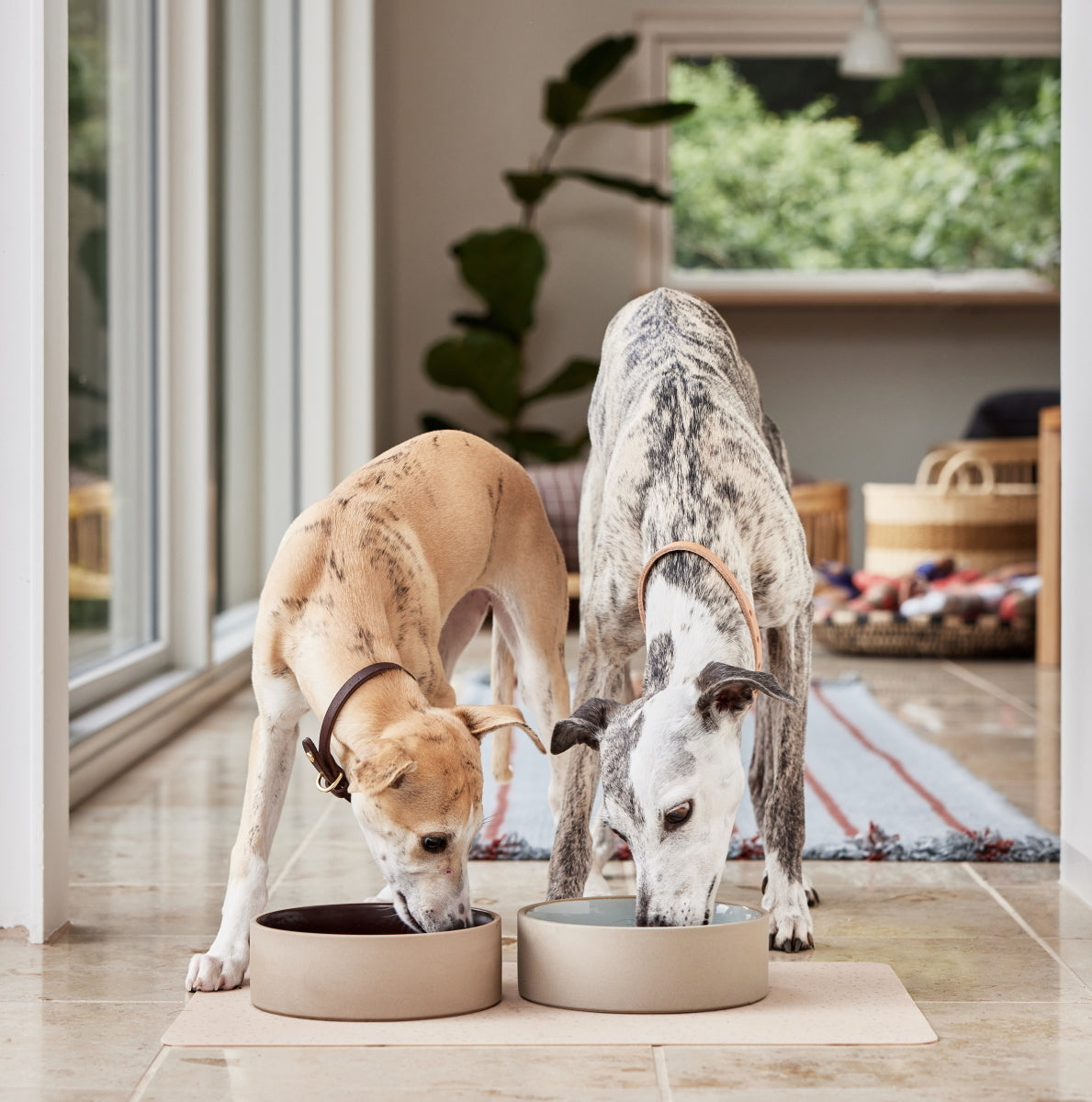 OYOY-koko-dog-bowl-matCaramel