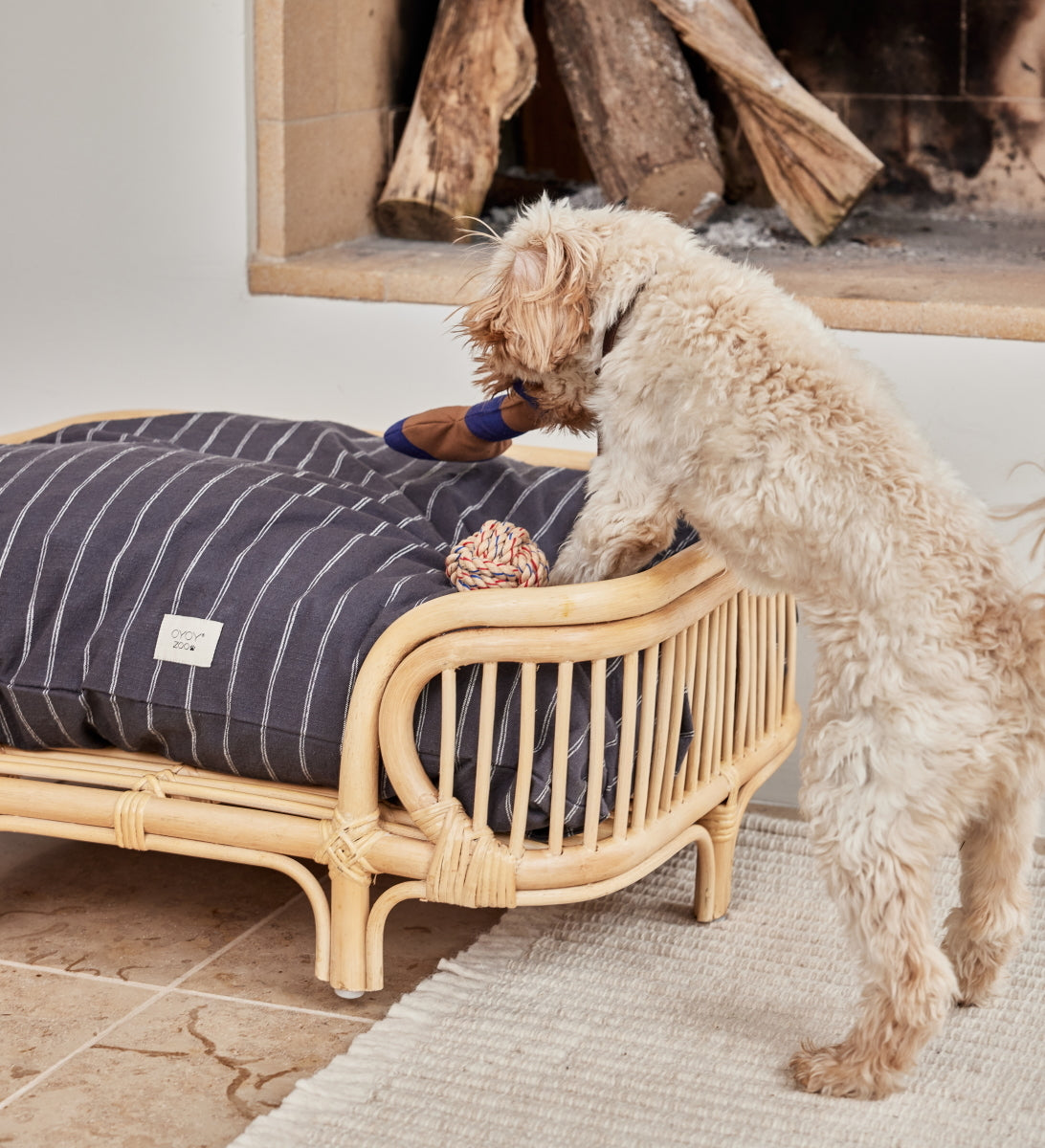 OYOY-ashi-dog-toy-largeCaramel