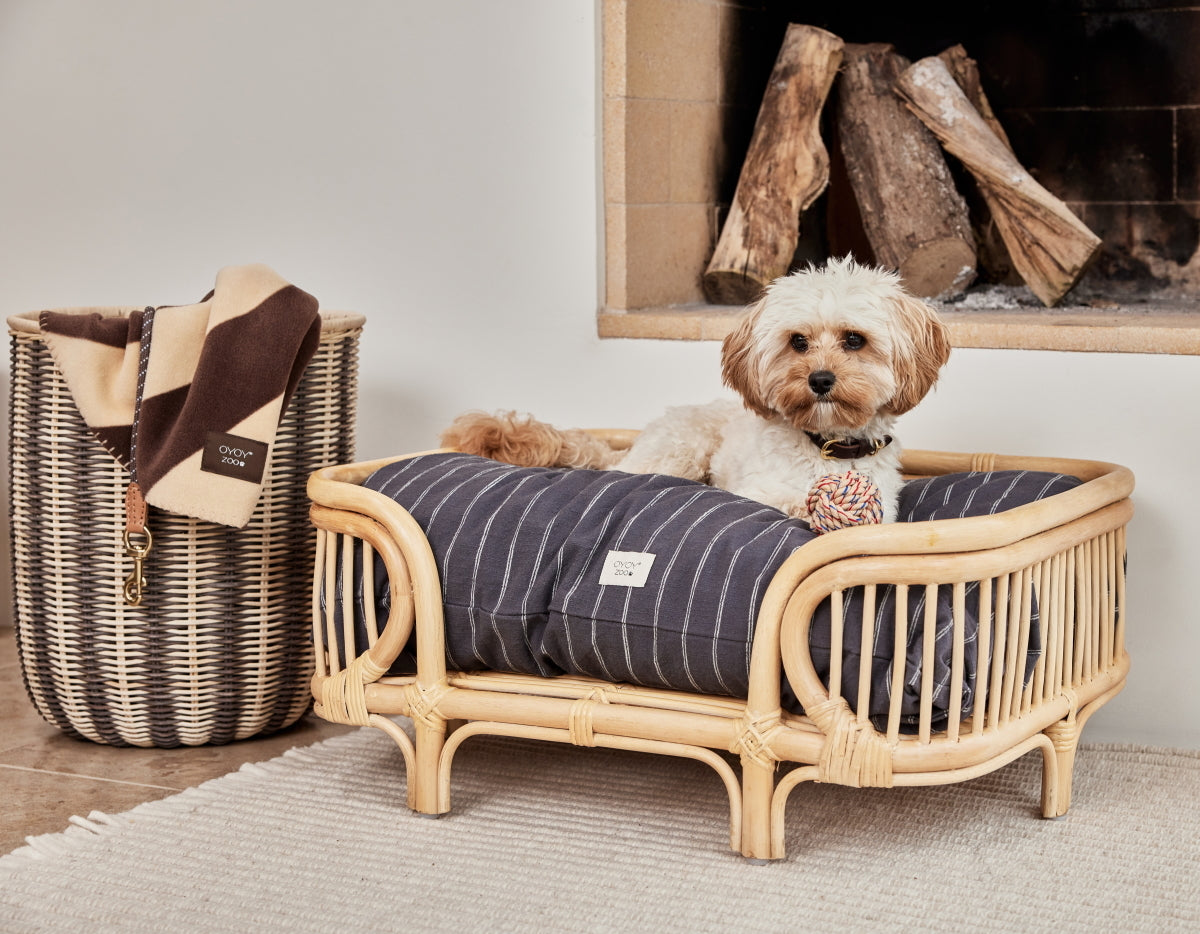 OYOY-otto-dog-bed-small