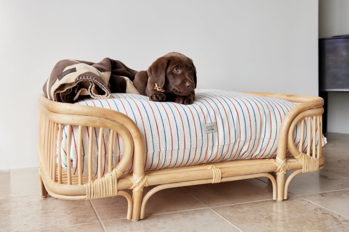 OYOY-otto-dog-bed-medium
