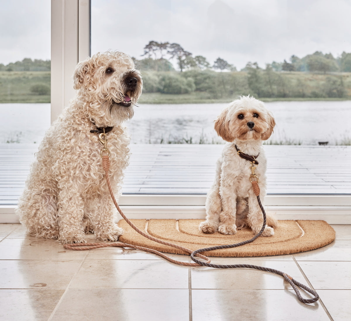 OYOY-perry-dog-leash-choko