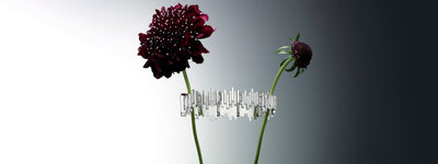 Efva Attling Stockholm