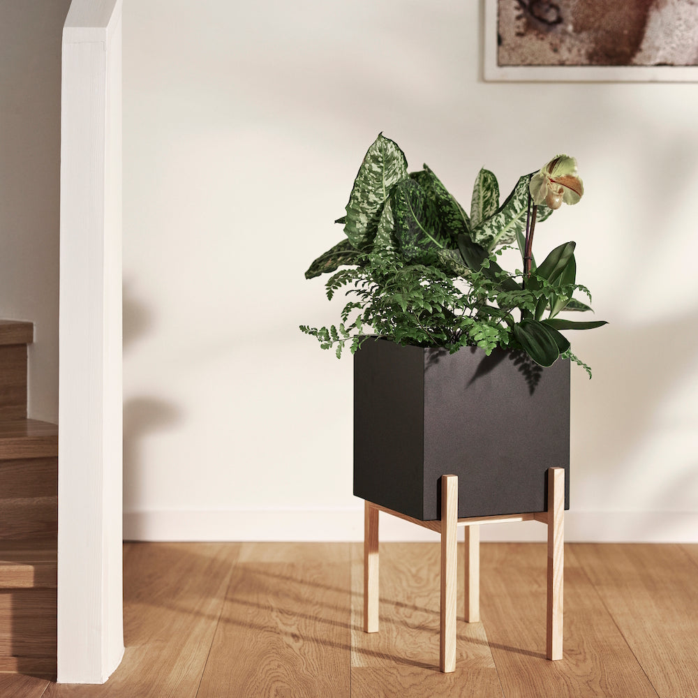 Design House Stockholm Botanic Stand Pedestal Ash
