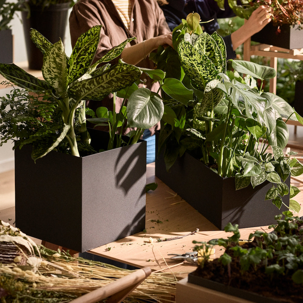 Design House Stockholm Botanic Stand Pedestal Ash