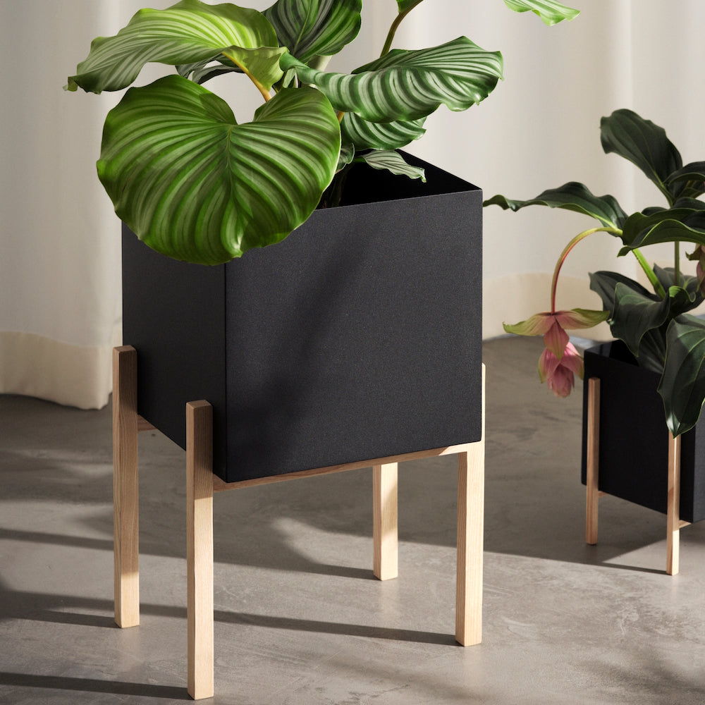 Design House Stockholm Botanic Stand Pedestal Ash