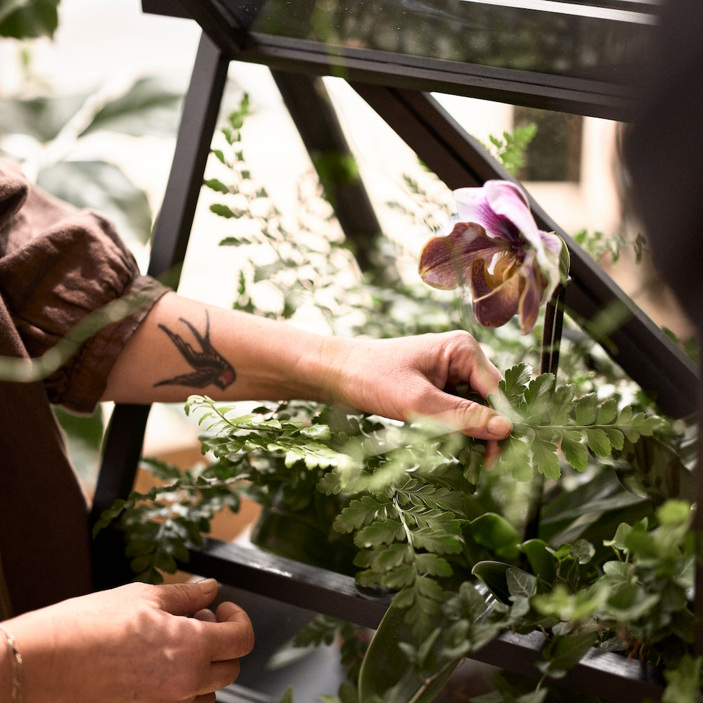 Design House Stockholm Greenhouse Set Stained Black