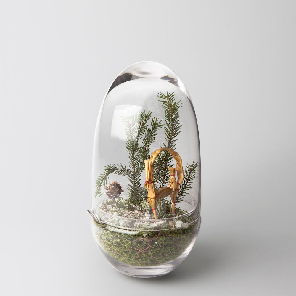 Design House Stockholm Grow Greenhouse Medium clear