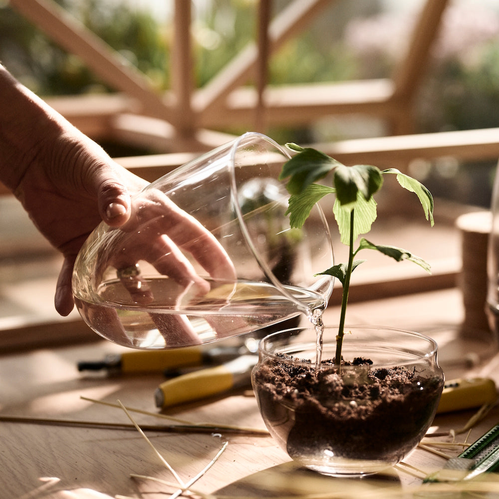 Design House Stockholm Grow Greenhouse