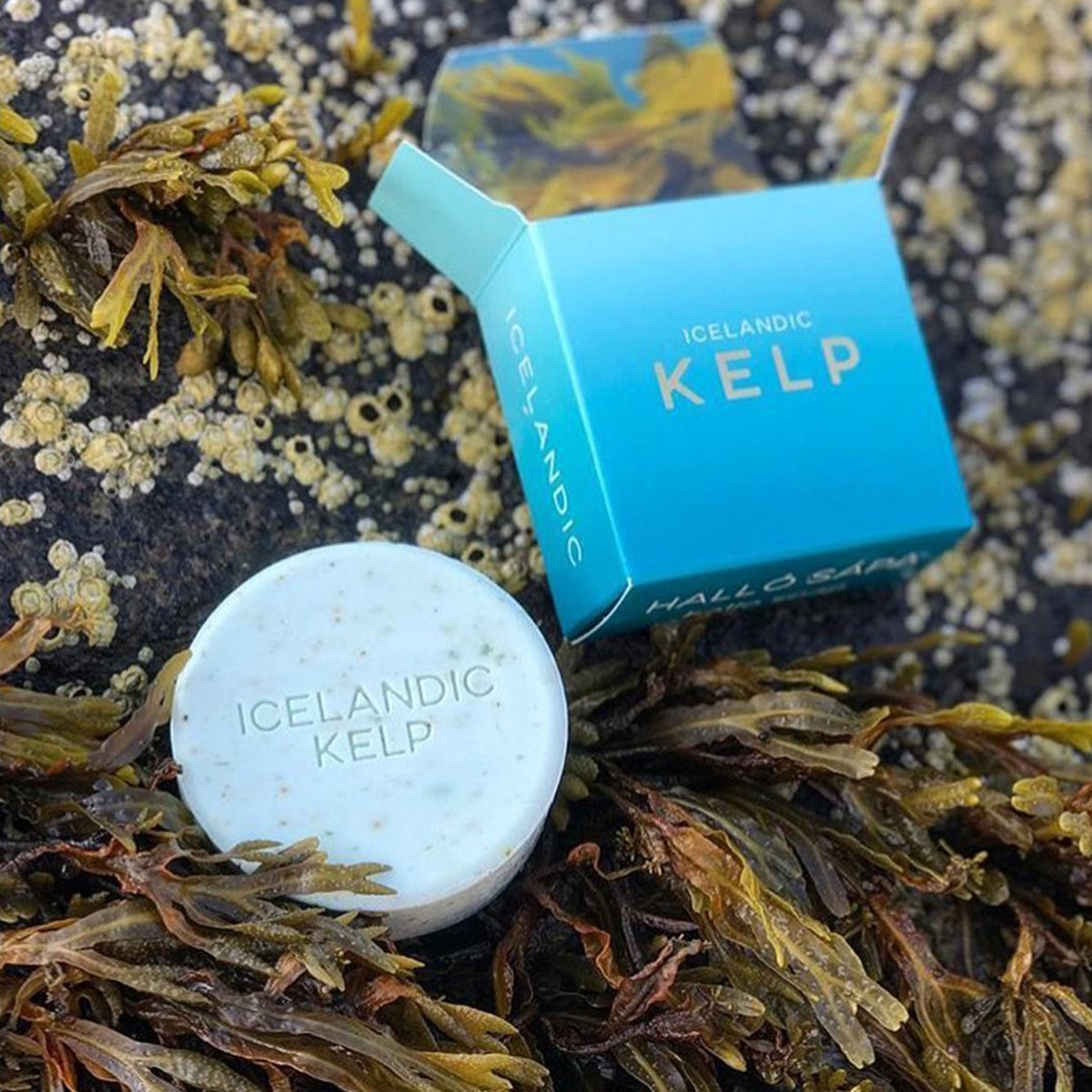 Kalastyle-icelandic-kelp-soap
