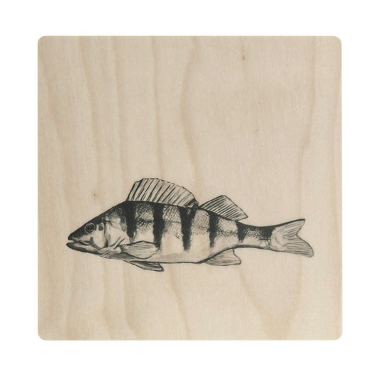 Miiko Perch Coaster