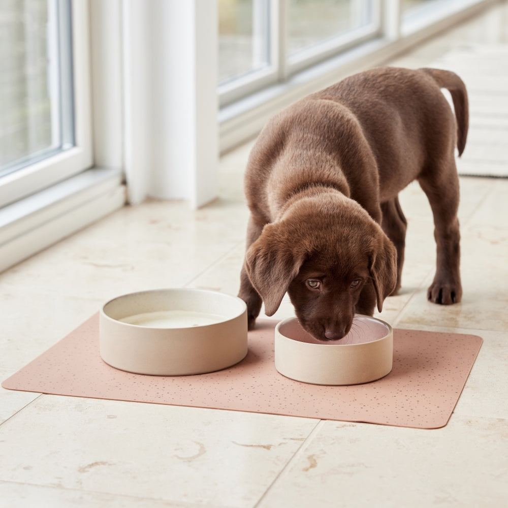 OYOY Sia Dog Bowl Small