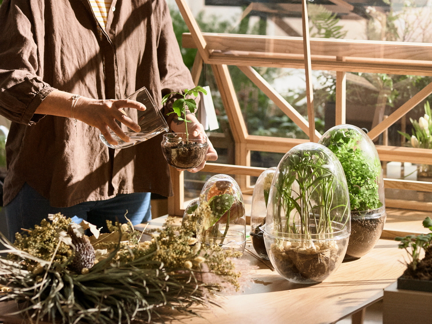 DesignHouseStockholm-grow-greenhouse-small-clear