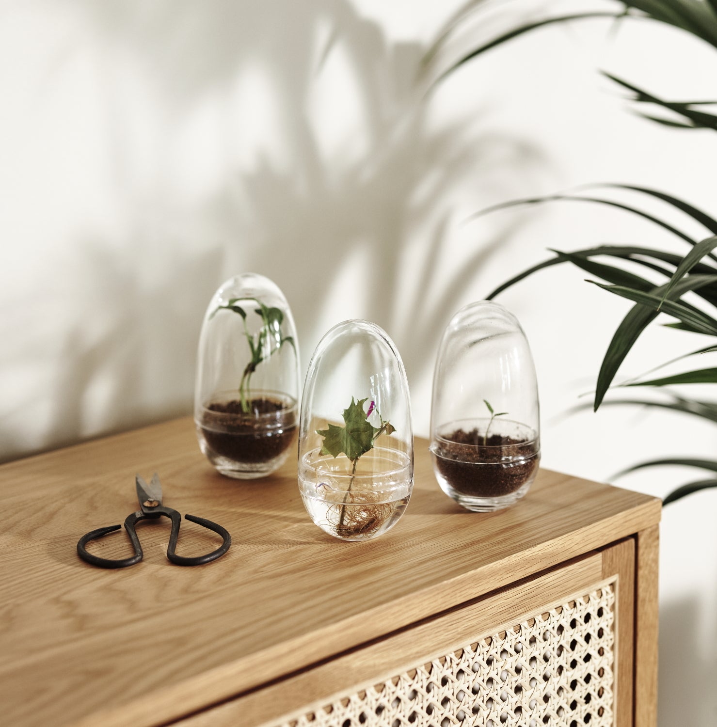 DesignHouseStockholm-grow-greenhouse-small-clear