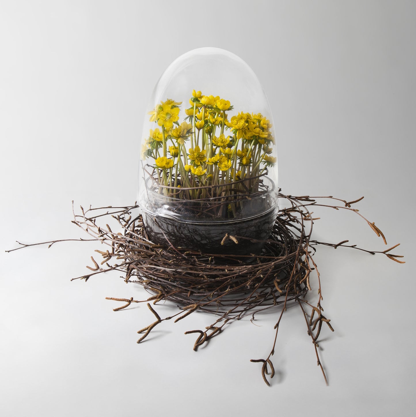 DesignHouseStockholm-grow-greenhouse-medium-clear