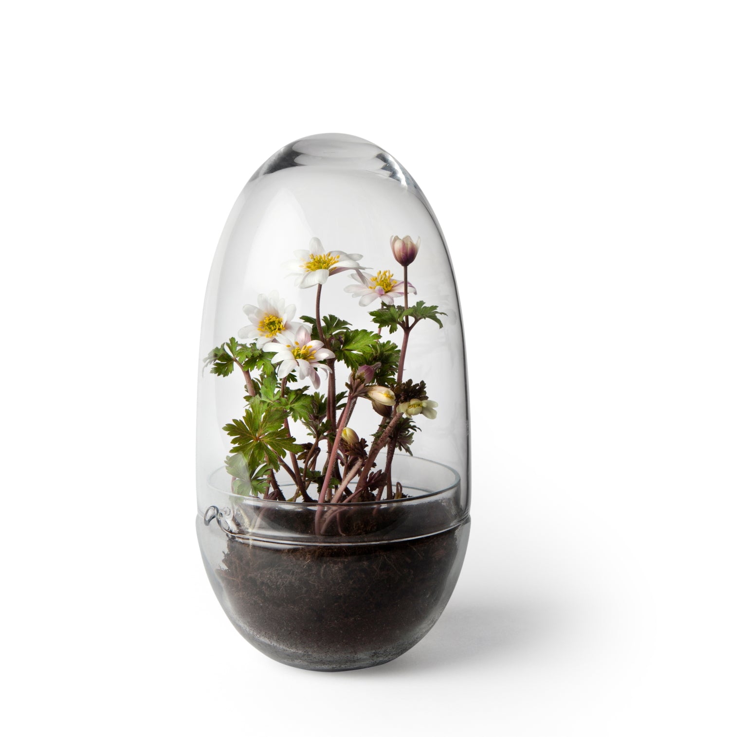 DesignHouseStockholm-grow-greenhouse-medium-clear