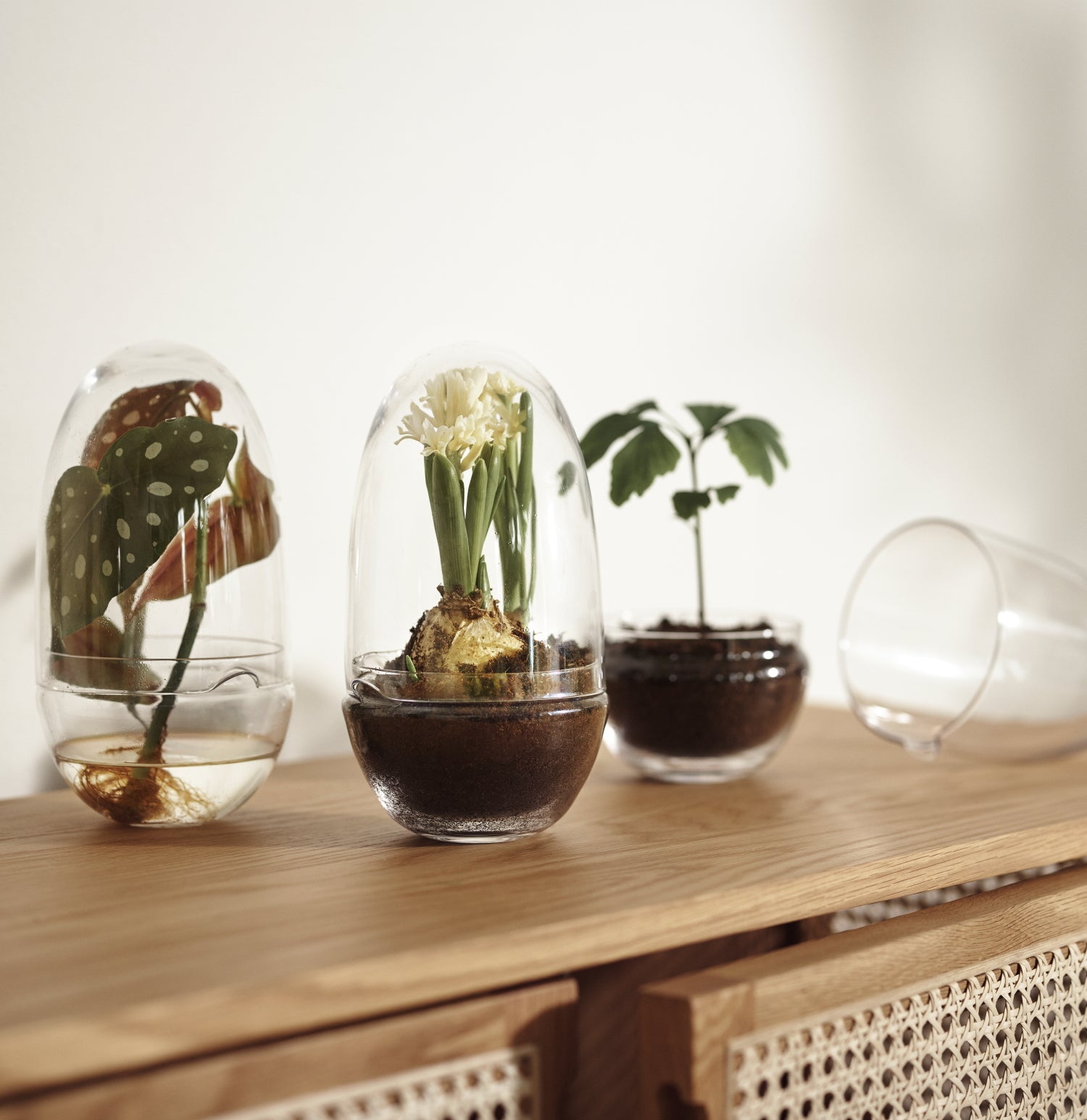 DesignHouseStockholm-grow-greenhouse-medium-clear