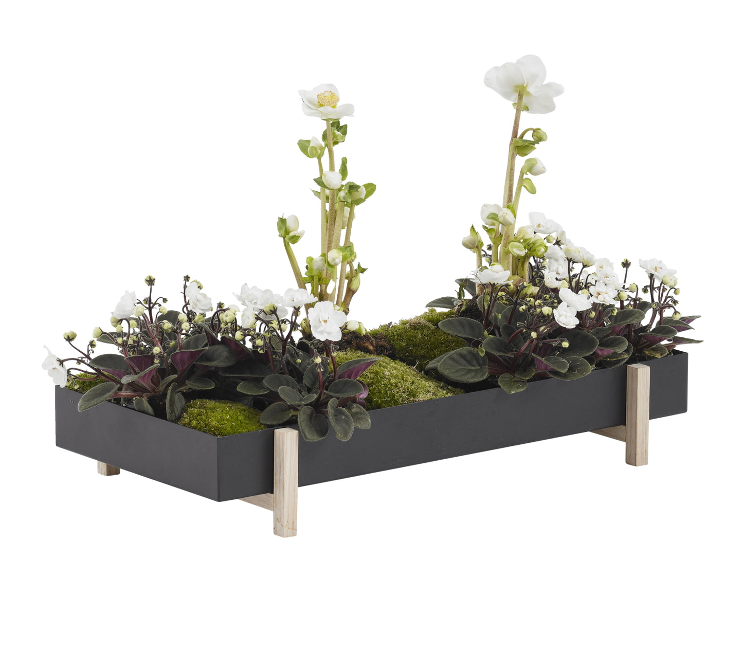 Botanic Tray Planter Metal-Ash