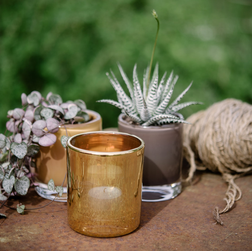 Skogsberg & Smart – Nordic Fusion Store