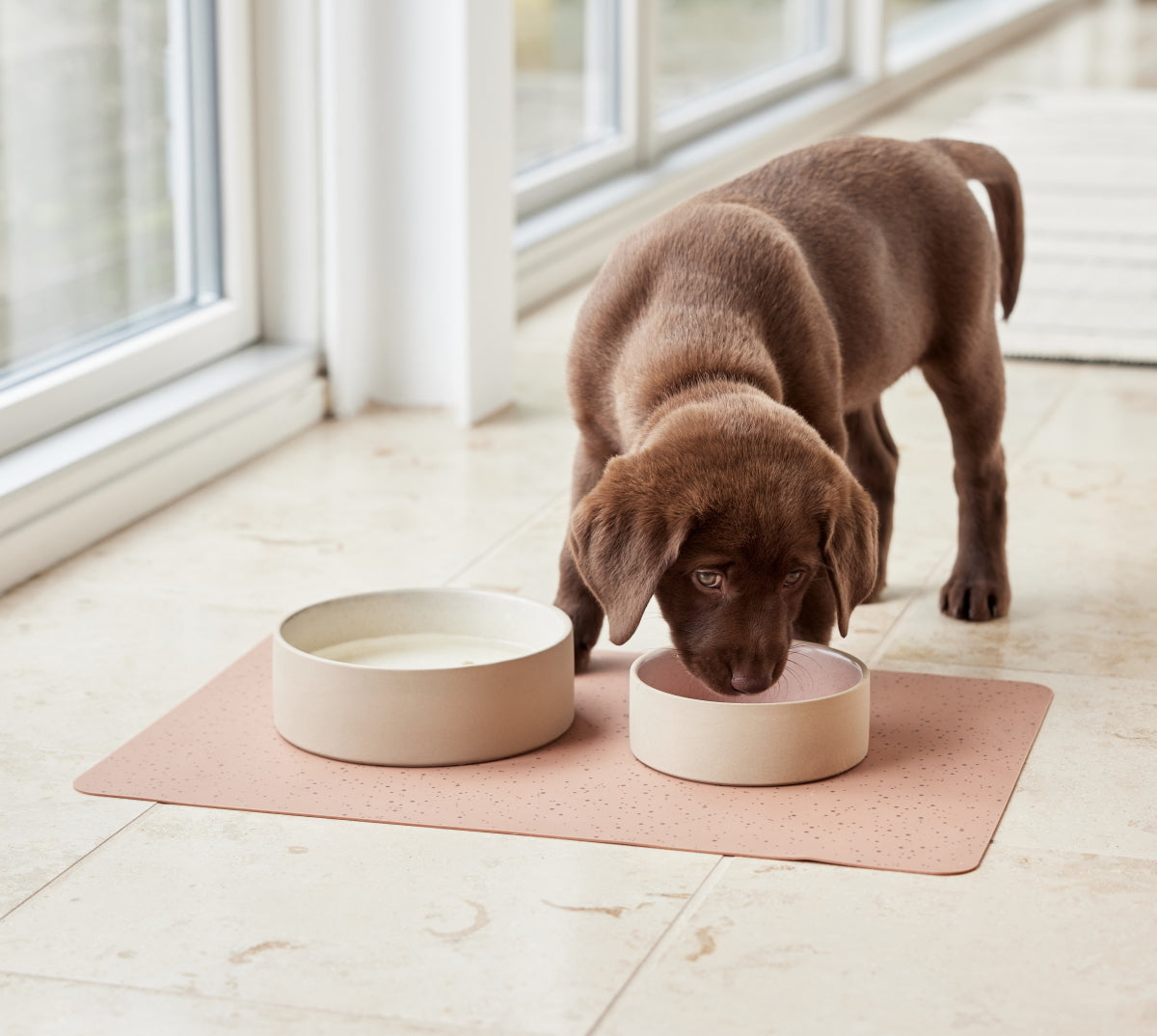 OYOY-sia-dog-bowl-smallIceBlue